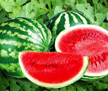 Арбуз Астраханский