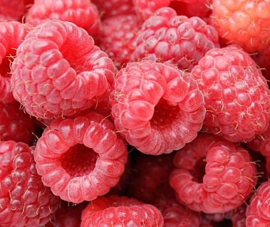 Малина сорта Тылла